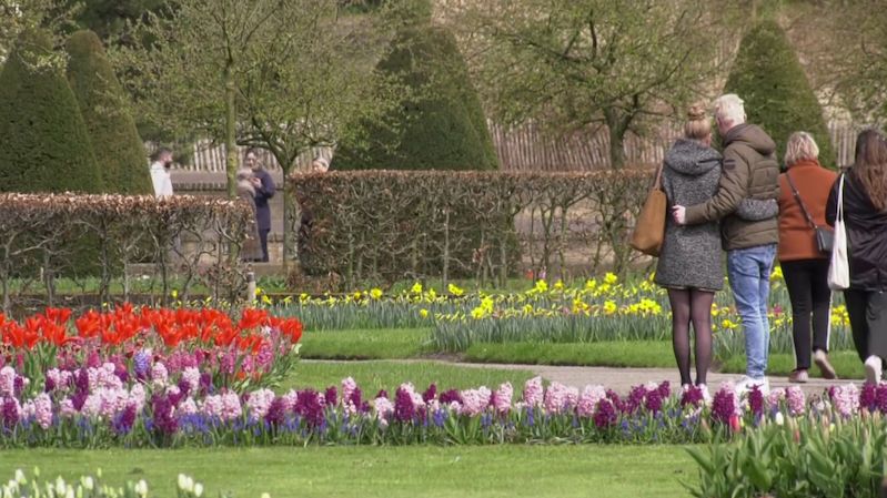 V Nizozemsku otevřeli slavnou květinovou zahradu. Vstup jen s testem